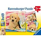 Ravensburger Cuddly Puppies 3x49 Palaa