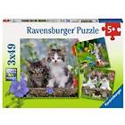 Ravensburger Pussel Tiger Kittens 3x49 Bitar