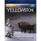 Yellowstone (UK) (Blu-ray)