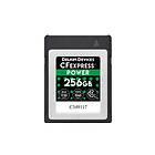 Delkin Power CFexpress 256GB