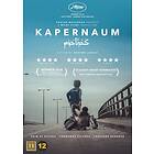 Kapernaum (DVD)