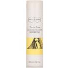 Percy & Reed Time To Shine Colour Protect Shampoo 250ml