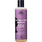 Urtekram Maximum Shine Shampoo 250ml