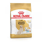 Royal Canin BHN Labrador Retriever Adult 5+ 12kg