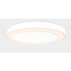 Modular Lighting Instruments Flat Moon Eclips (Ø970)