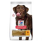 Hills Canine Science Plan Adult Healthy Mobility Large 14kg