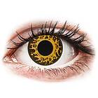 Gelflex Crazy Lens Cheetah (2-pack)