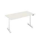 Iiglo Ergonomiskt Skrivbord 140x70cm