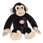 Wild Republic Chimpanzee 16cm
