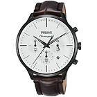 Pulsar Watches PT3895X1