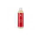 Innossence Regenessent Dry & Damaged Hair Shampoo 300ml