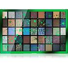 Makeup Revolution Earth Eyeshadow Palette 61g