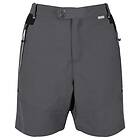 Regatta Sungari II Shorts (Men's)