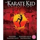Karate Kid - 4 Movie Collection (UK) (Blu-ray)