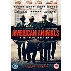 American Animals (UK) (DVD)