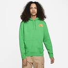 Nike SB Icon Skate Hoodie (Unisexe)