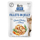 Brit Care Adult Fillets In Jelly Pouch 0,085kg