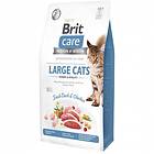 Brit Care Large Cats Power & Vitality 0.4kg