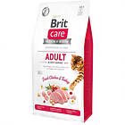 Brit Care Adult Activity Support 0,4kg