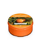 Kringle Candle Daylight Sicilian Orange