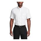 Lacoste Regular Fit Oxford Short Sleeve Shirt (Herr)