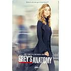 Greys Anatomy (Säsong 16) (SE) (DVD)