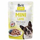 Brit Care Mini 0,85kg