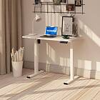 FlexiSpot Home Office Standing Desk Frame EN1