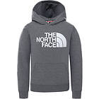The North Face Drew Peak Hoodie (Jr)