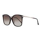MaxMara Shine IV