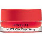 Payot Nutricia Conforting Nourishing Lip Care 6g