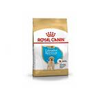 Royal Canin BHN Labrador Retriever Puppy 1kg