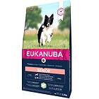 Eukanuba Dog Mature & Senior Large 12kg