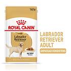 Royal Canin BHN Labrador Retriever Adult 5+ 40x0,14kg