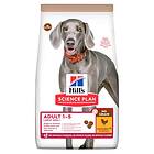 Hills Canine Science Plan Adult 1-5 No Grain Large 14kg