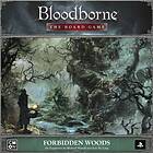 Bloodborne: Forbidden Woods (exp.)