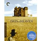Days of Heaven - Criterion Collection (US) (Blu-ray)