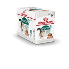 Royal Canin FHN Instinctive +7 Gravy 12x0,085kg