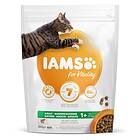 Iams for Vitality Cat Adult 0.8kg