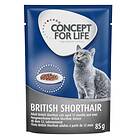 Concept for Life Cat Adult British Shorthair 12x0,085kg