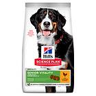 Hills Canine Science Plan Senior Vitality Large Mature Adult 6+ 12kg