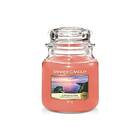 Yankee Candle Medium Jar Cliffside Sunrise