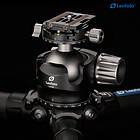 Leofoto LH-55R + NP-60