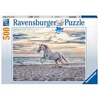 Ravensburger Pussel Evening Gallop 500 Bitar