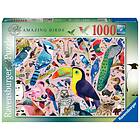 Ravensburger Pussel Matt Sewell's Amazing Birds 1000 Bitar