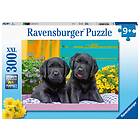 Ravensburger Pussel Labrador Puppies 300 Bitar