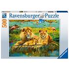 Ravensburger Pussel Lions In The Savanna 500 Bitar