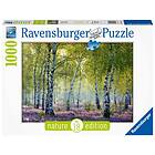 Ravensburger Puslespill Nature Edition #18 Birch Forest 1000 Brikker
