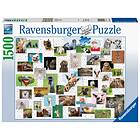 Ravensburger Palapelit Funny Animals Collage 1500 Palaa