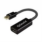 QGeeM DisplayPort Mini - HDMI M-F Adapter